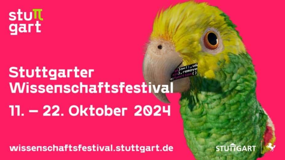 Bird - 3D Character Animation Bunter Vogel guckt in die Kamera